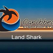 Caribbean Land Shark