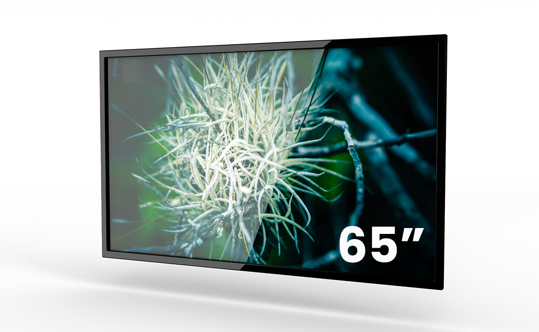 Rentals Single Monitor 65” Samsung